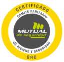 Sello Comité Paritario categoría Oro